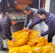 洛江区沉拳整治私屠滥宰守护群众“肉案