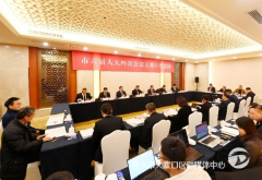 大渡口代表团审议市工做演讲